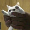 KeiKate