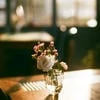 урсула де виль
