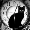 The Cat Lady