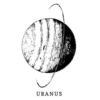 xutno