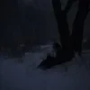 из сна тени.