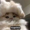 Стасю съели