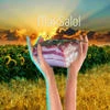MaxSalo
