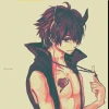 Shiins Plu