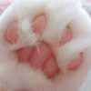 Paw-a
