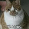 Бубз