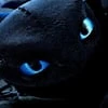 The night Fury