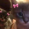 клуб_ничка