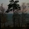 Мендаль Линн