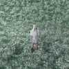окей я просто Лиен