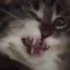 vrhktrn
