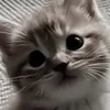 FicMuffin