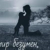 a letter to a stranger