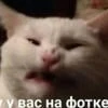 shutl