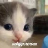 little_writer
