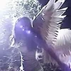 tanger_812