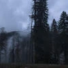 Моркс