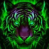 TIGER-FLAME