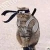 Холодный Токсик