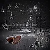Alumi_Hite