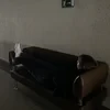 Константин Кейдер-Вастьянов.
