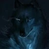 Cry_Wolf