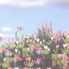 wwinter_cherry