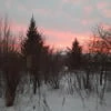 Кто то_557899