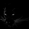 Moon Panthera