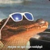 Слезы пахнут ванилью и морем