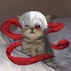 kutisake