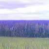 ufo6ouh