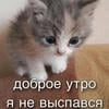 самогон от Совуньи