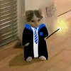 meowaa