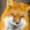 Корней Иванов