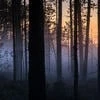 История-в-одну-ночь