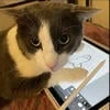 едим за заккладкой