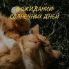 Солнечное теплышко