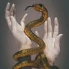serpentinum