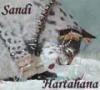 Hartahana