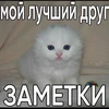 Teskopy
