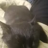 Ваш похотливый Бог