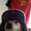 Kola42fyk