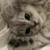 nnixmins