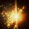 Sunshine Alford