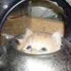 хватитхватитхватит