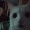 kiagruu1_