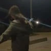 Подруга леса