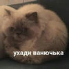 АртУрИк_пИрОжкОв