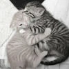 yourvin